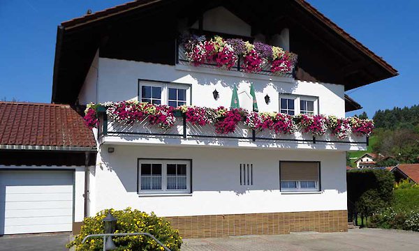 Frontalansicht Hotel am Berg in Rinchnach